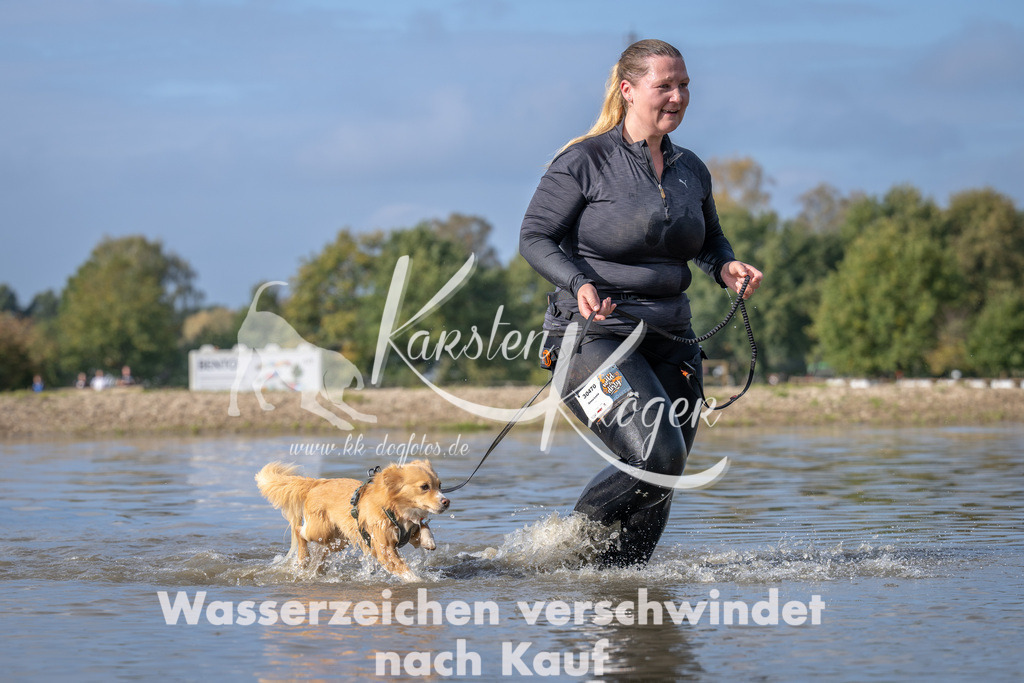 1147_ZZ94127 | kk-dogfotos