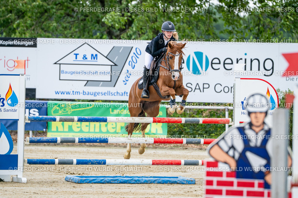 DSC03960 | Pferdegrafie