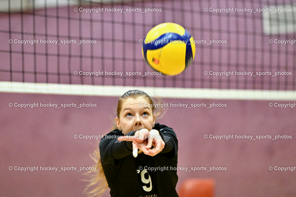 ASKÖ Volley Eagles Villach vs. VC Hausmannstätten | #9 STRANZL Jasmin VC Hausmannstätten, ASKÖ Volley Eagles Villach vs. VC Hausmannstätten, ASKÖ Volley Eagles Villach vs. VC Hausmannstätten am 01.02.2025 in Villach (Ballspielhalle Lind), Austria, (Photo by Bernd Stefan)