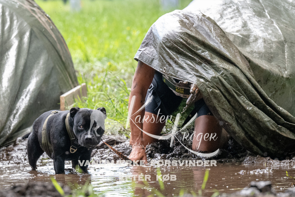 1106_ZZ91491 | kk-dogfotos