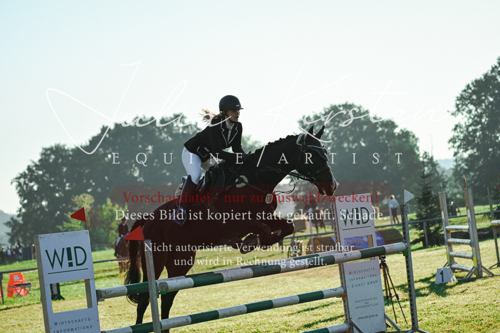 DSC_3874 | Pferde- und Turnierfotografie in Westsachsen. Pferdeportraits, Auftragszeichnungen und intuitive Kunst.