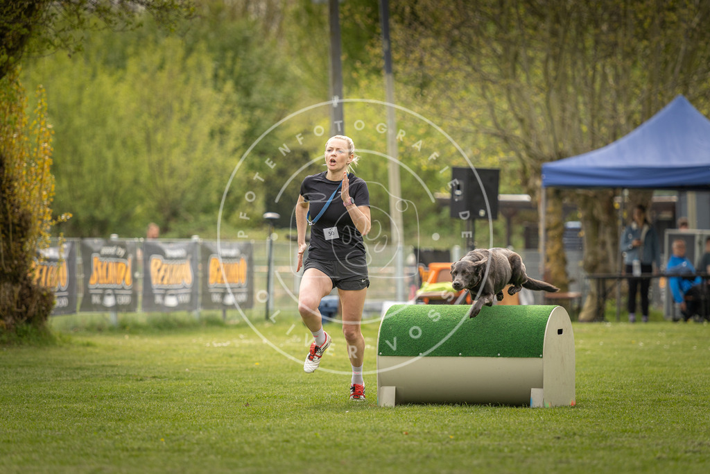 Pfotenfotografie_DV3A6764 | Hundefotografie, Tierfotograf, Pfotenfotografie, Fotoshooting Hund, Hunde Portrait, Hundesport, Hundeportraits, Heideshooting, Hunde, Sportfotograf, Hundefotograf, Turnierhundsport, THS,  - Realisiert mit Pictrs.com
