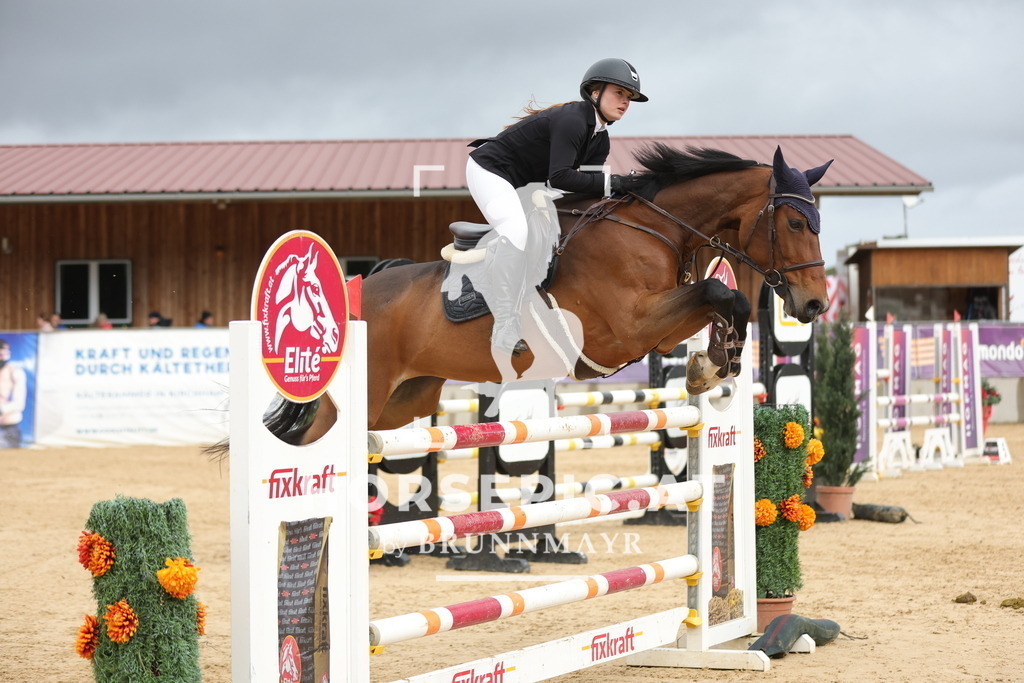 0P6A8896 | Willkommen bei Brunnmayr - Design & Fotografie – Ihrem Spezialisten für Reitturniere und Pferdeveranstaltungen in Oberösterreich, Salzburg und Bayern! Seit über 17 Jahren sind wir leidenschaftlich dabei.