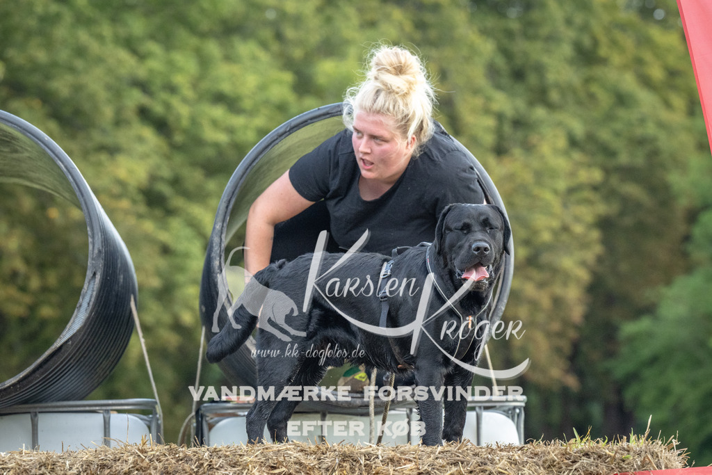 1050_ZZ93279 | kk-dogfotos