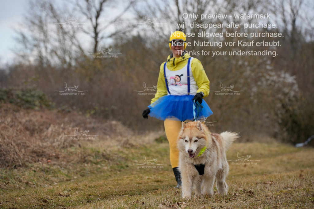 2Fasching-9 | stephaniefillaphotographie - Realisiert mit Pictrs.com