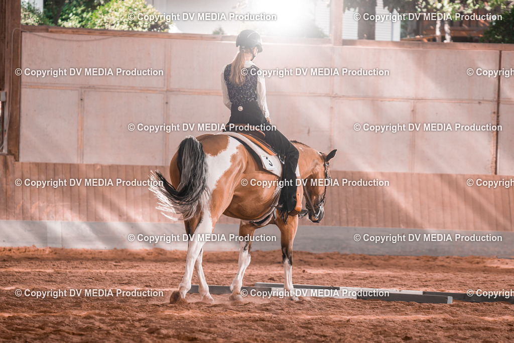 NE200233 | dv-media-shop - Realisiert mit Pictrs.com