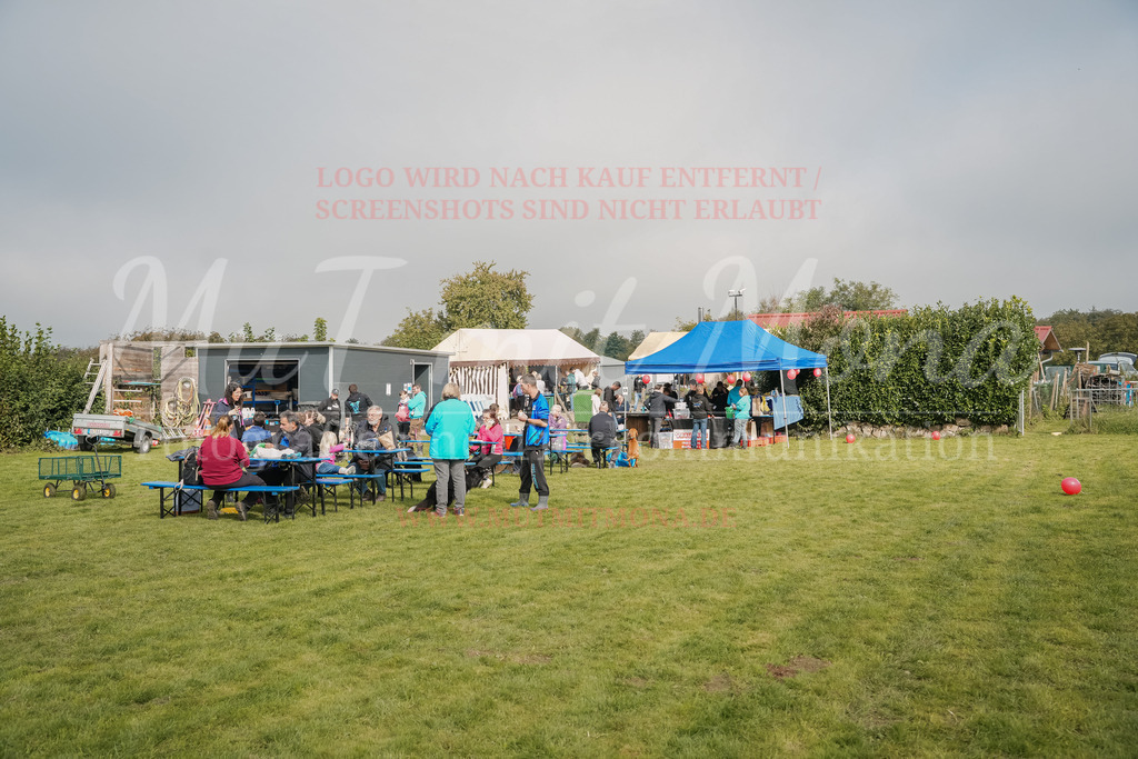 20250928_Hunderennen-351 | MuT (Mensch und Tier) mit Mona - Fotografie und Tierkommunikation - Realisiert mit Pictrs.com