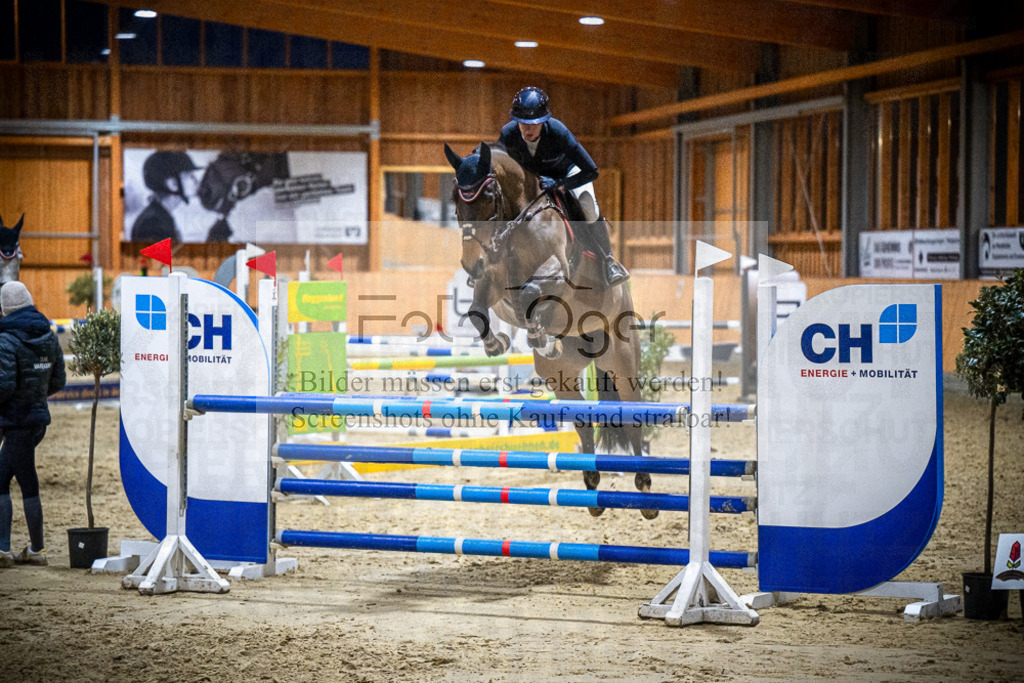DOS_1333 | Entdecke hochwertige Reitturnierfotos von Foto Oger. Professionell, emotional und authentisch – jetzt Lieblingsmomente im Shop bestellen.Deutschlandweite Turnierfotografie. - Realisiert mit Pictrs.com