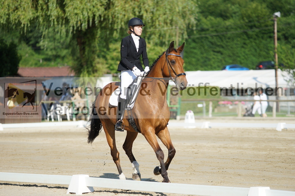 DSC04065 | equestrian-live-com
