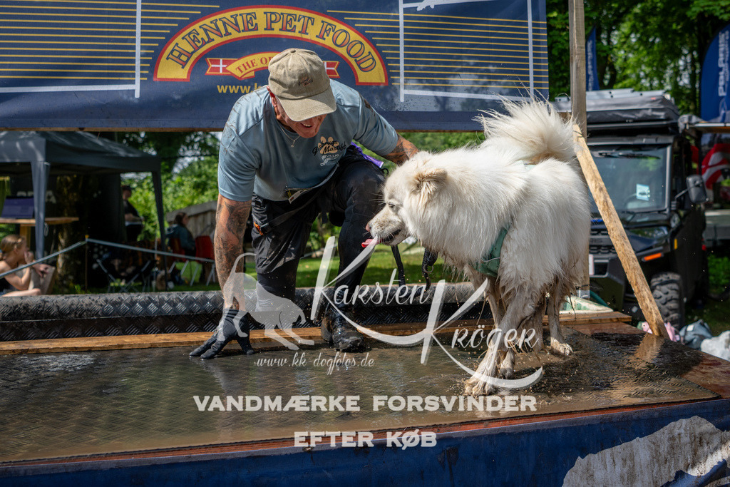 1105_ZZ92770 | kk-dogfotos