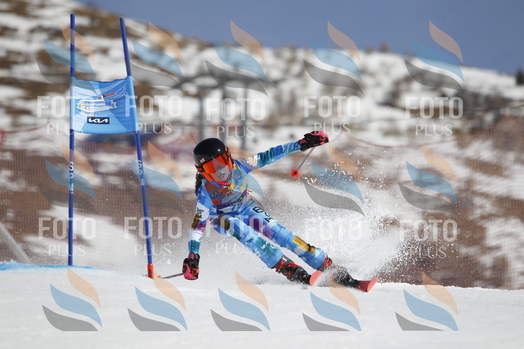 _U3G9954 | holidayphoto