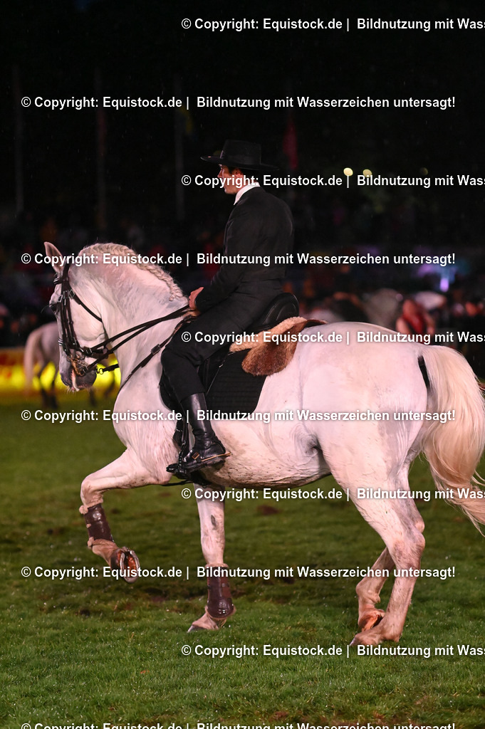 20240517_Lange-Pferdenacht_0759 | Foto: Thomas Hartig