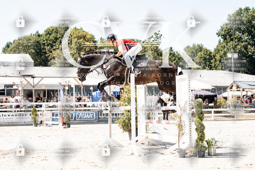 CK909728 | Turnierfotografie Pferdefotografie Trier Rheinland-Pfalz Pferdesport Reitsport Tierfotografie Sportfotografie Pferdevideo Pferdevideografie Equestrianvideography equestrianphotography  - Realisiert mit Pictrs.com