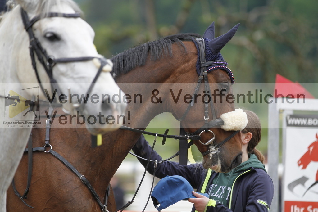 _MG_7775 | equestrian-live-com