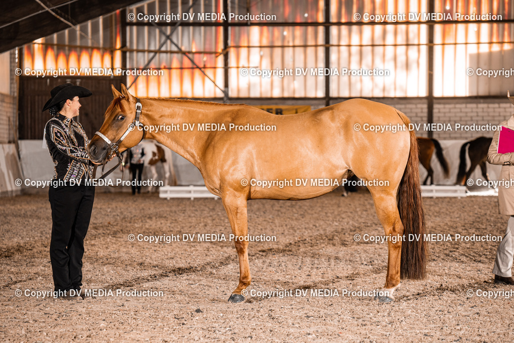 ZH100146 | dv-media-shop - Realisiert mit Pictrs.com