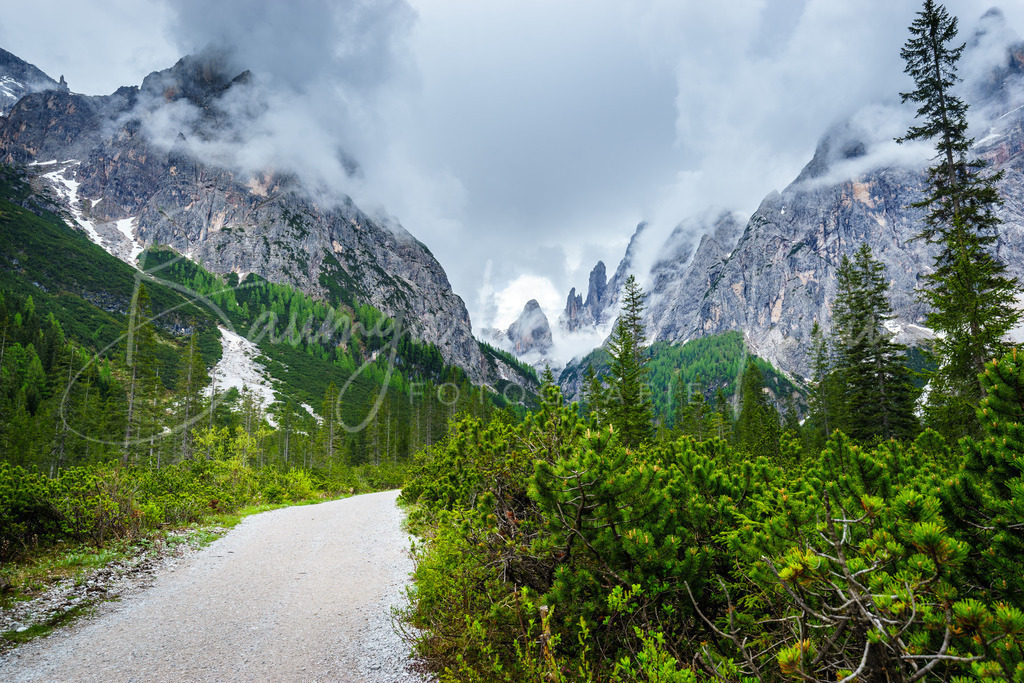 _DSC4801 | Baumgartner Markus Fotografie
