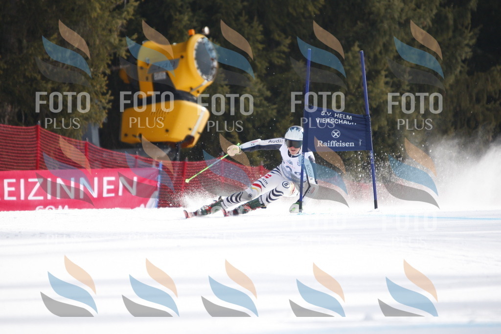 D8160 | holidayphoto