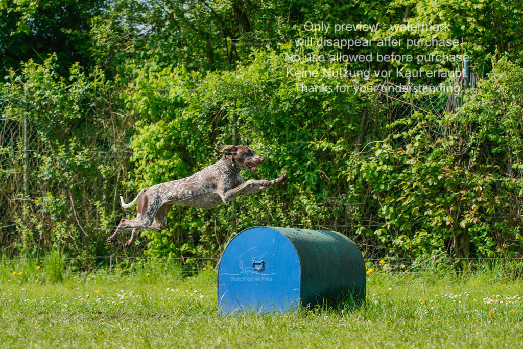 Sa_SprintVK_Gr2_03-52 | stephaniefillaphotographie - Realisiert mit Pictrs.com