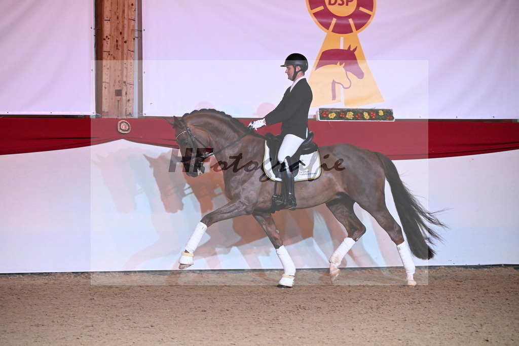 Feliciano_Wadenspanner_2254382 | hf-fotografie - Realisiert mit Pictrs.com