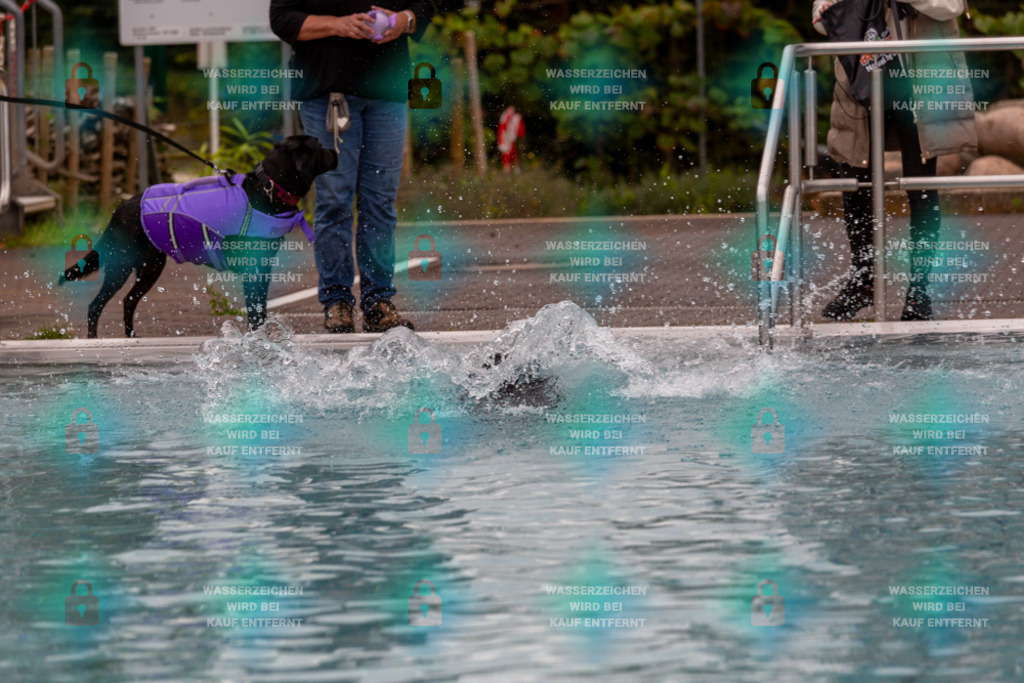 _HP_6131_1000o | HetPix, HetPix Fotodesign, Fotografie, Fotodesign, Webshop, Sportfotografie, Portraitfotografie, Onlineshop, Sportfotografie, Polch, Motorsportfotografie, Eventfotografie