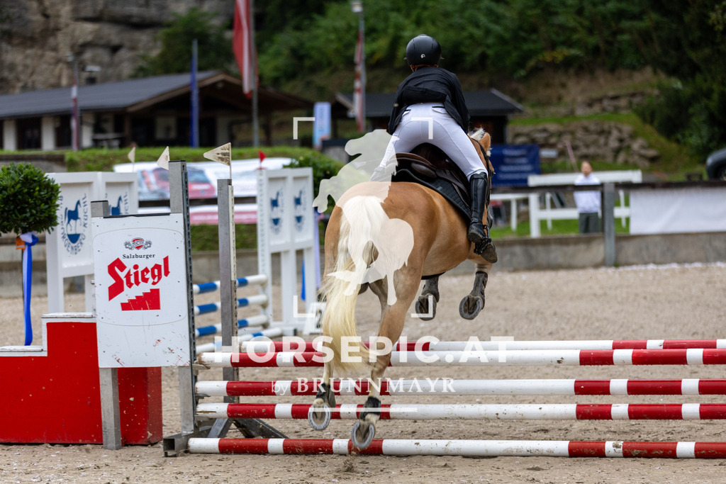 0P6A9684 | Willkommen bei Brunnmayr - Design & Fotografie – Ihrem Spezialisten für Reitturniere und Pferdeveranstaltungen in Oberösterreich, Salzburg und Bayern! Seit über 17 Jahren sind wir leidenschaftlich dabei.