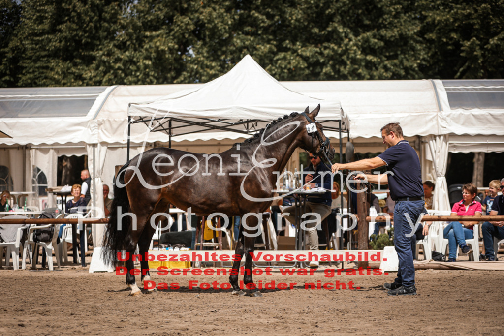 8.So00105 | Leoni Ertmer Photography - Realisiert mit Pictrs.com