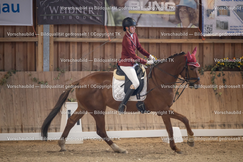 _D5A2103 | Emotionale Pferde- & People-Fotografie rund um Heidelberg, Leimen & Umgebung. Natürliche Fotos von Pferd, Mensch & Familie. Jetzt Termin sichern!