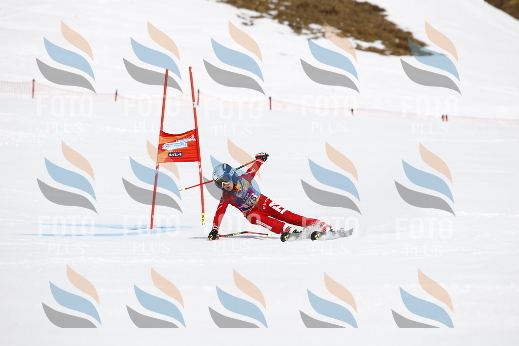 _U3G4677 | holidayphoto