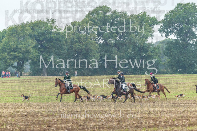 Jagd Perdoel_MarinaHewigMCH04098 | Fotografie, FotoArt, PferdesportArt, Pferdesportfotografie, Landschaftsfotografie, Reisefotografie, Reise, Pferde - Realisiert mit Pictrs.com