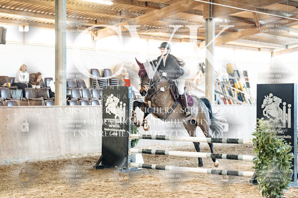 CK904205 | Turnierfotografie Pferdefotografie Trier Rheinland-Pfalz Pferdesport Reitsport Tierfotografie Sportfotografie Pferdevideo Pferdevideografie Equestrianvideography equestrianphotography  - Realisiert mit Pictrs.com