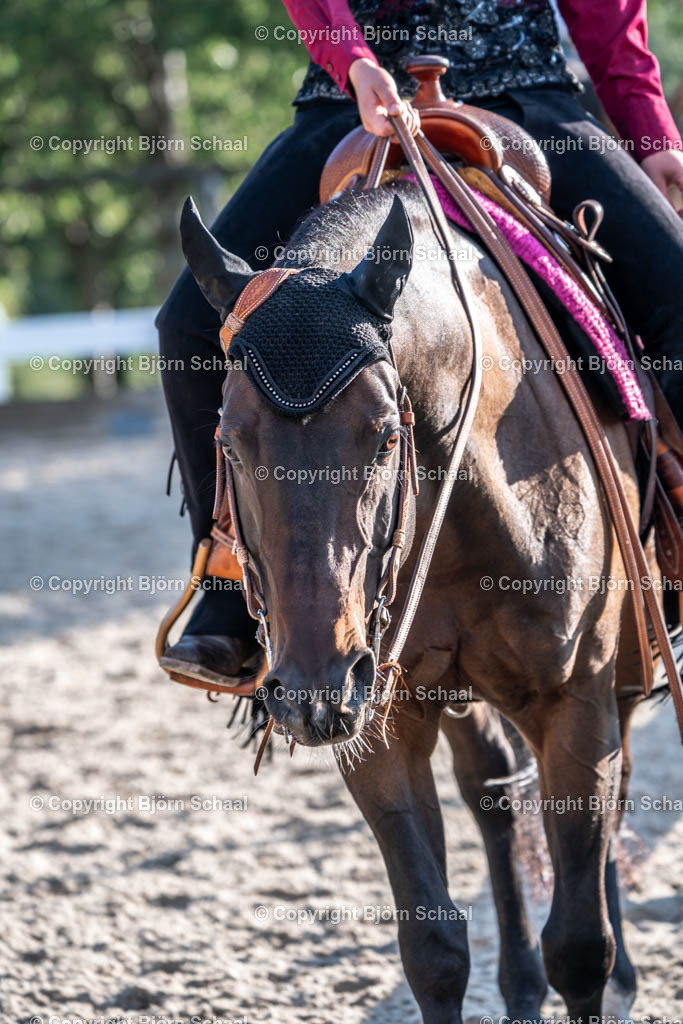 HOB07955 | BS-foto