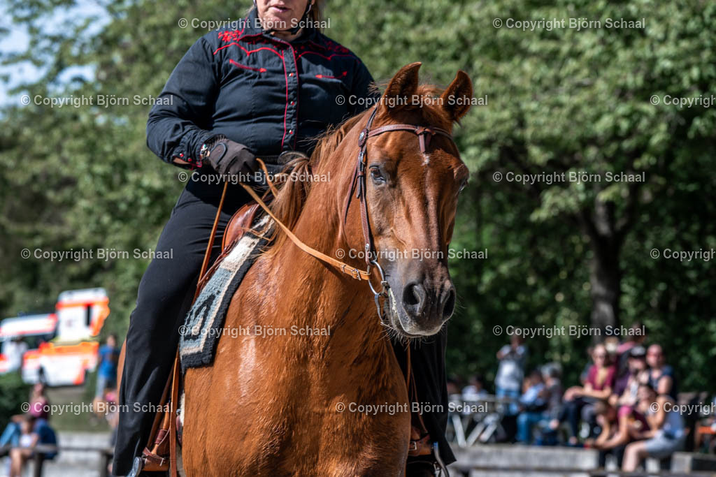 HOB08726 | BS-foto