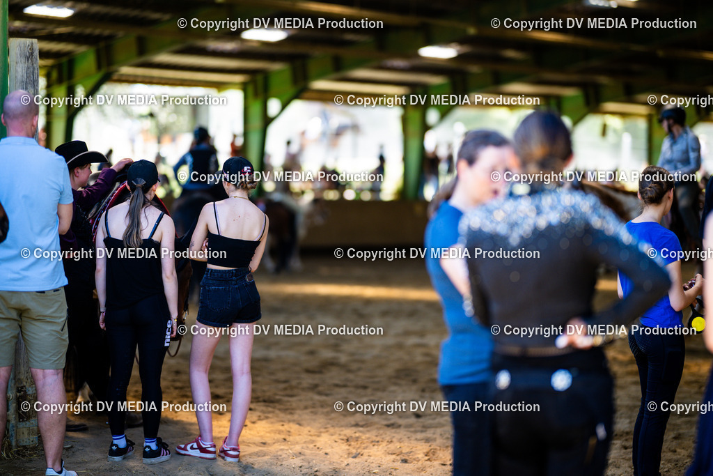 Z91_6206 | dv-media-shop - Realisiert mit Pictrs.com