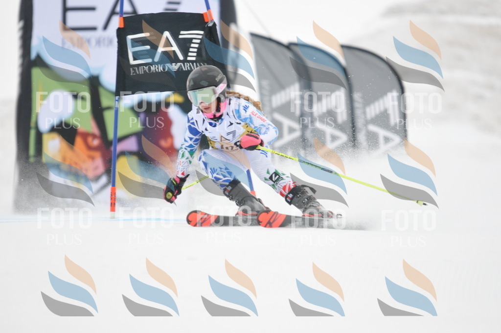 DSC_8110 | holidayphoto