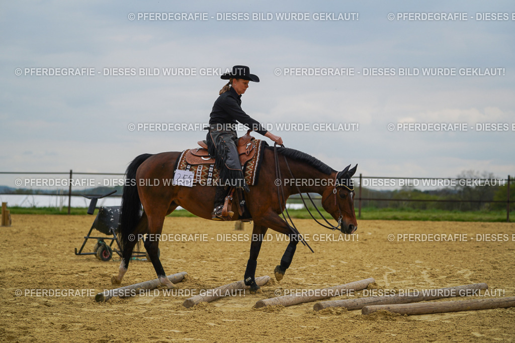 DSC07725 | Pferdegrafie