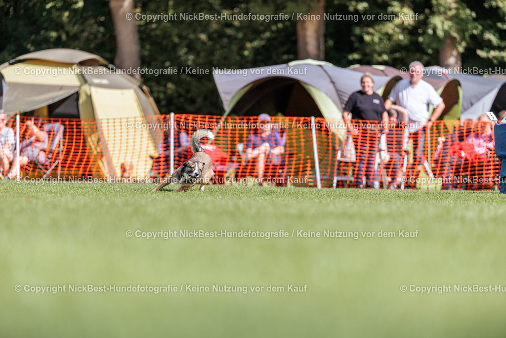 BSP Hoopers-H1-2026-Nickbest-Hundefotografie-TuS Komet Arsten e.V.-8420 | Dein Hund! Dein Moment! Deine Erinnerungen! Hundefotografie in Bremen Blumenthal. Ich fange die besonderen Momente deines Vierbeiners ein – ob Indoor mit Blitzanlage oder in der freien Natur. Sicher dir dein Moment und dein Termin für eure Erinnerungen.