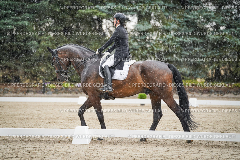 DSC08066 | Pferdegrafie