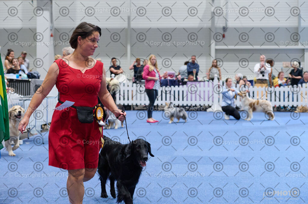 202406_ÖKV-IHA-Tulln24_DSC_4844 | proPHOTO - Realisiert mit Pictrs.com