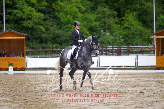 DKP47316 | Turniersportfotografie; Pferdefotografie; Dressurfotografie