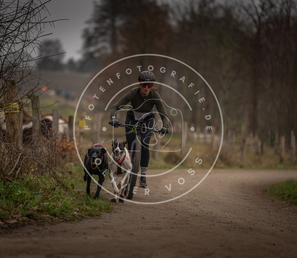 Pfotenfotografie_DV3A3158 | Hundefotografie, Tierfotograf, Pfotenfotografie, Fotoshooting Hund, Hunde Portrait, Hundesport, Hundeportraits, Heideshooting, Hunde, Sportfotograf, Hundefotograf, Turnierhundsport, THS,  - Realisiert mit Pictrs.com