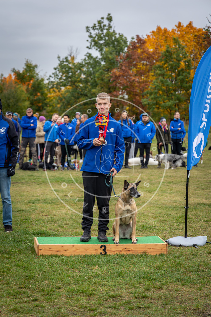 Pfotenfotografie_0L8A0609 | Hundefotografie, Tierfotograf, Pfotenfotografie, Fotoshooting Hund, Hunde Portrait, Hundesport, Hundeportraits, Heideshooting, Hunde, Sportfotograf, Hundefotograf, Turnierhundsport, THS,  - Realisiert mit Pictrs.com