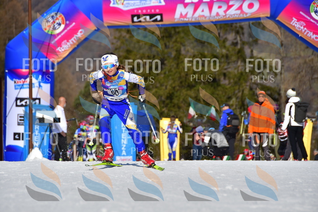 _DSC9196 | holidayphoto