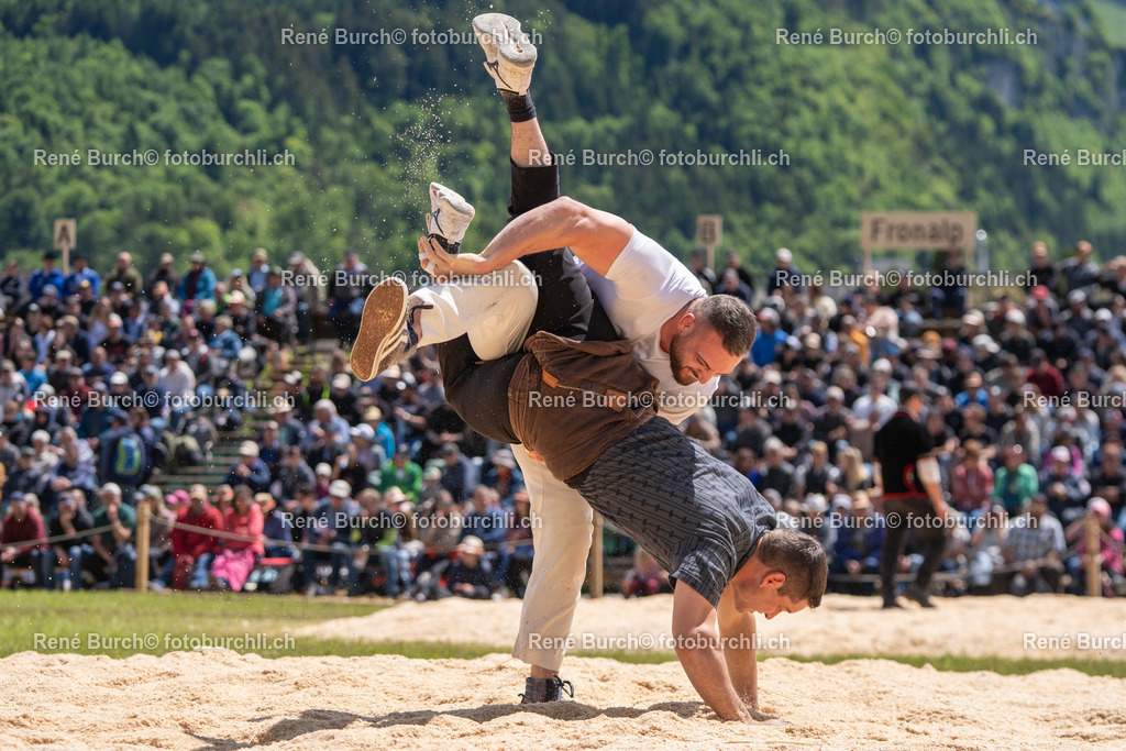 BUR06222 | René Burch leidenschaftlicher Fotograf aus Kerns in Obwalden.  Hier finden sie Sport, Landschaft und Natur Fotografie.
 - Realisiert mit Pictrs.com