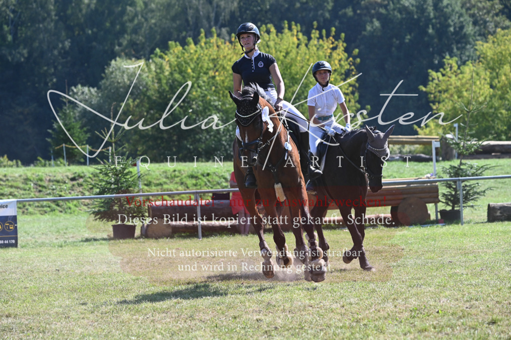 DSC_6511 | Pferde- und Turnierfotografie in Westsachsen. Pferdeportraits, Auftragszeichnungen und intuitive Kunst.