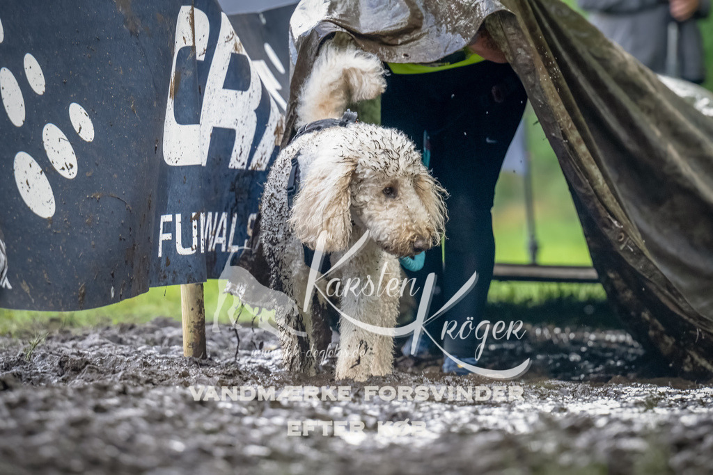 1150_ZZ94467-Bearbeitet | kk-dogfotos