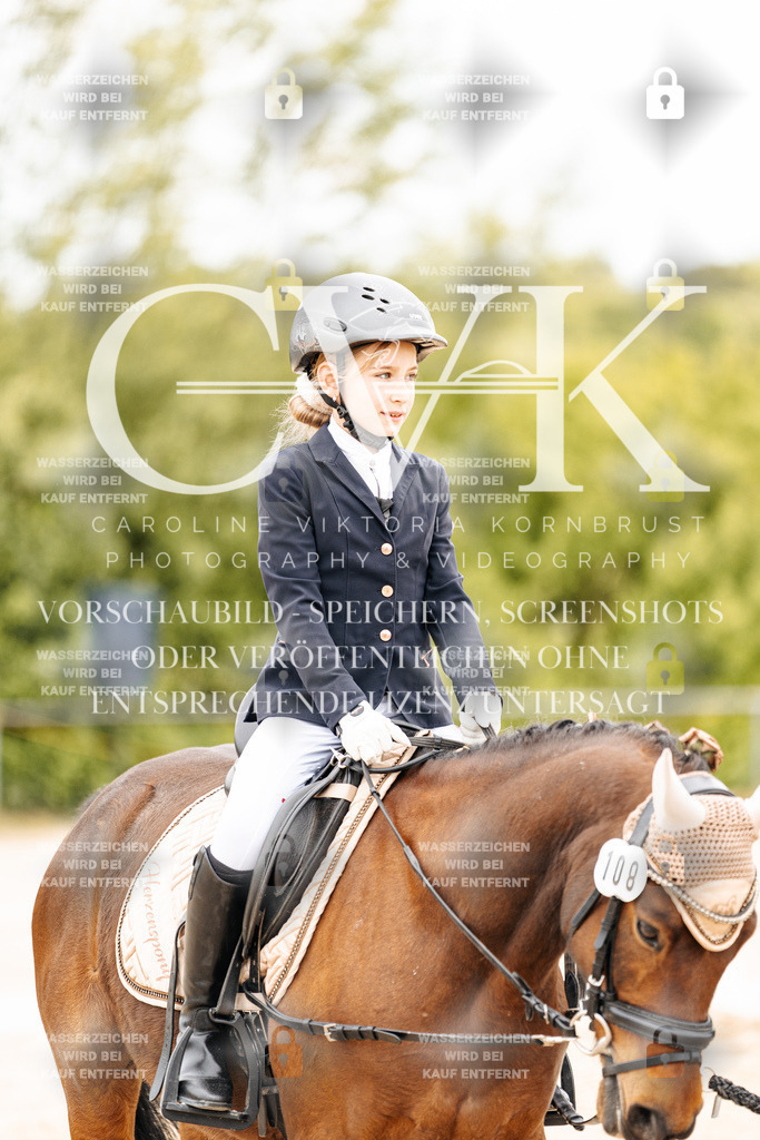 CK903729 | Turnierfotografie Pferdefotografie Trier Rheinland-Pfalz Pferdesport Reitsport Tierfotografie Sportfotografie Pferdevideo Pferdevideografie Equestrianvideography equestrianphotography  - Realisiert mit Pictrs.com
