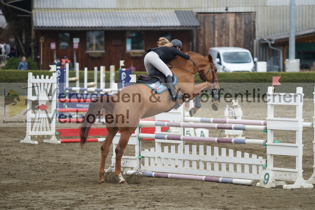 DSC01172 | equestrian-live-com