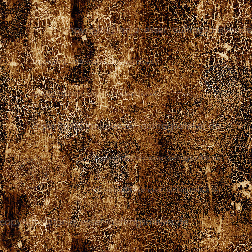 Krakelierlack Muster Natur D | Fotografierte Struktur von alter Farbschicht, die einreißt. Krakelierlack in braun vor weißem Hintergrund. Erinnert an Baumrinde. Verarbeitet zu einem nahtlosen Muster.