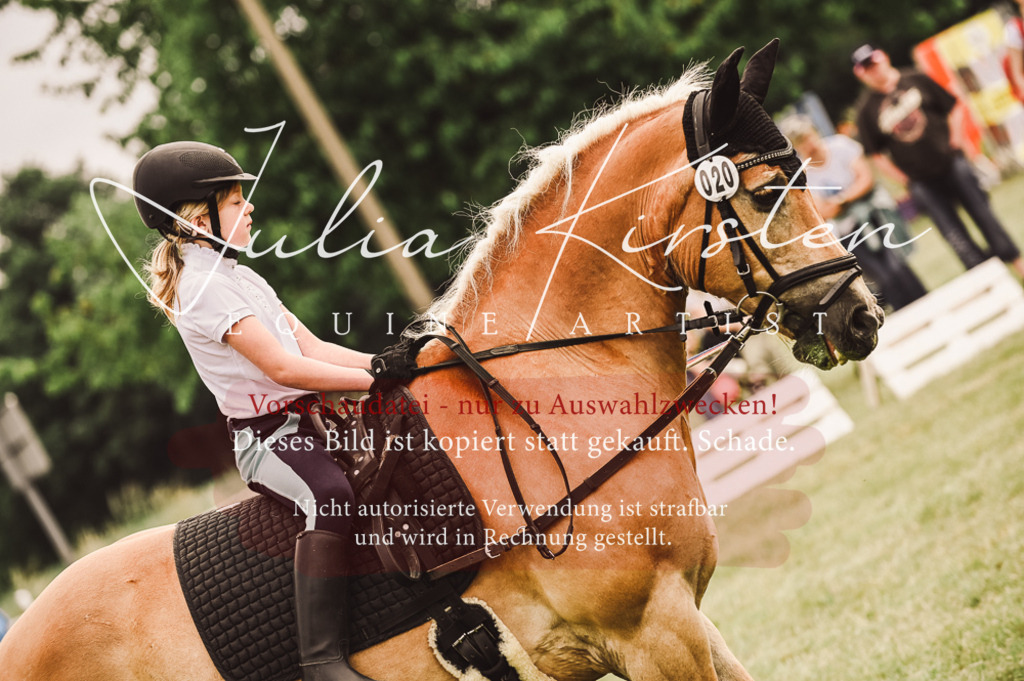 DSC_5208 | Pferde- und Turnierfotografie in Westsachsen. Pferdeportraits, Auftragszeichnungen und intuitive Kunst.