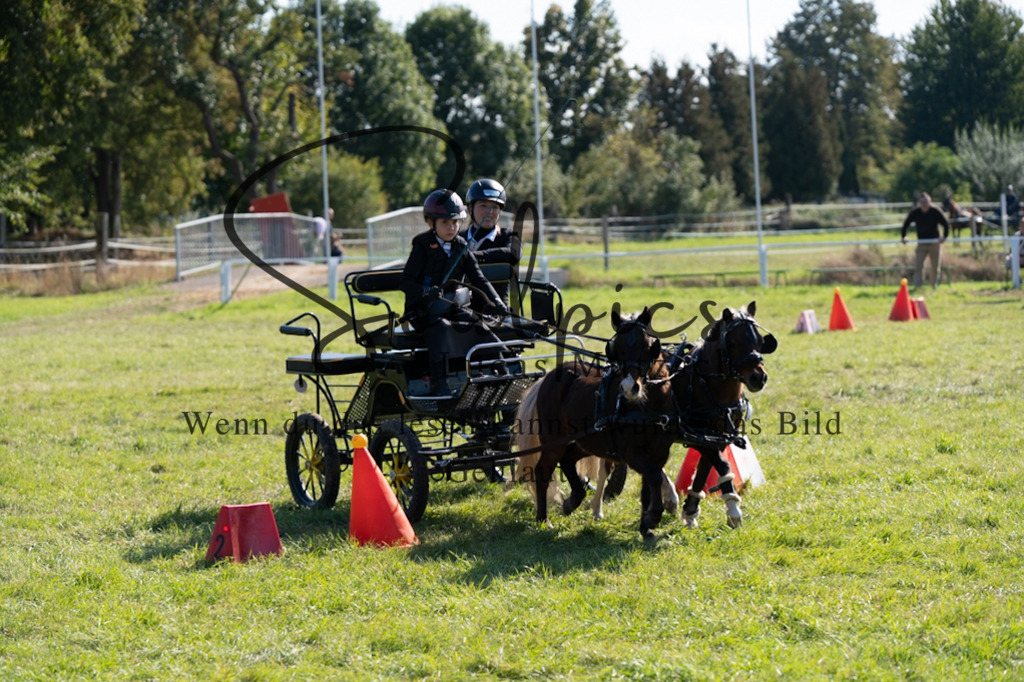 A7V04379 | Pferdefotograf